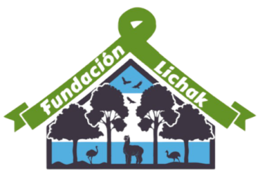 fundacion.lichak.org